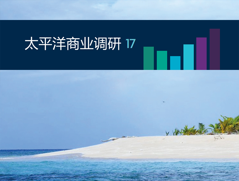 太平洋商业调研报告 17
