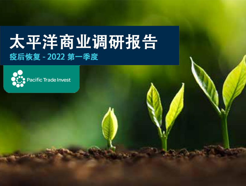 太平洋商业调研报告 - 疫后恢复 - 2022年第一季度